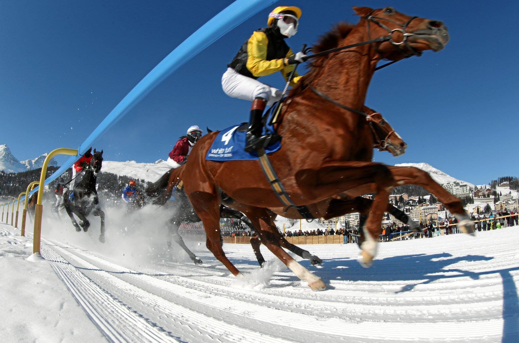 White Turf of St.Moritz